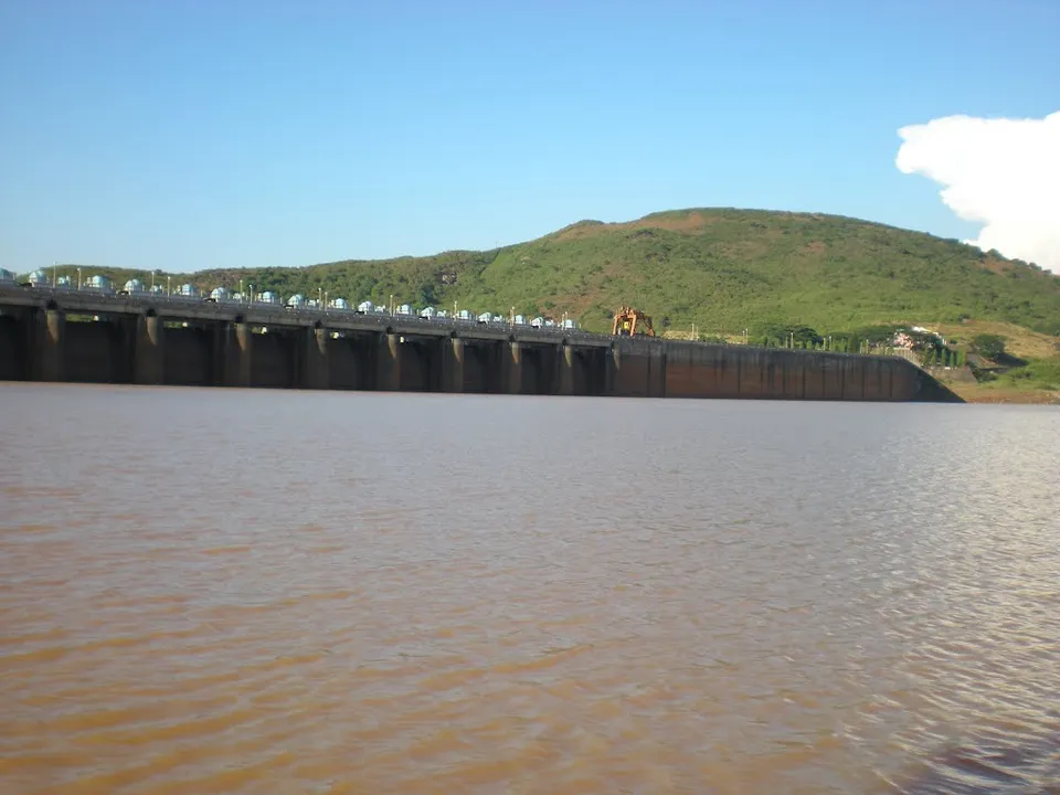  3 Odisha college students drown in reservoir during birthday celebration