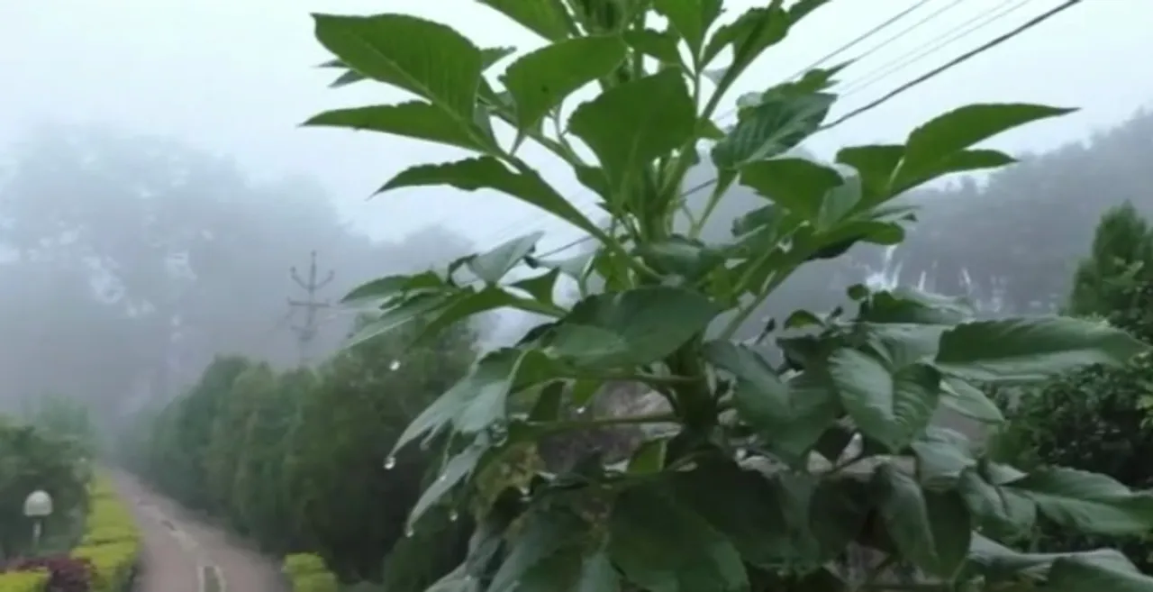  Odisha to shiver in cold spell in next 3 days