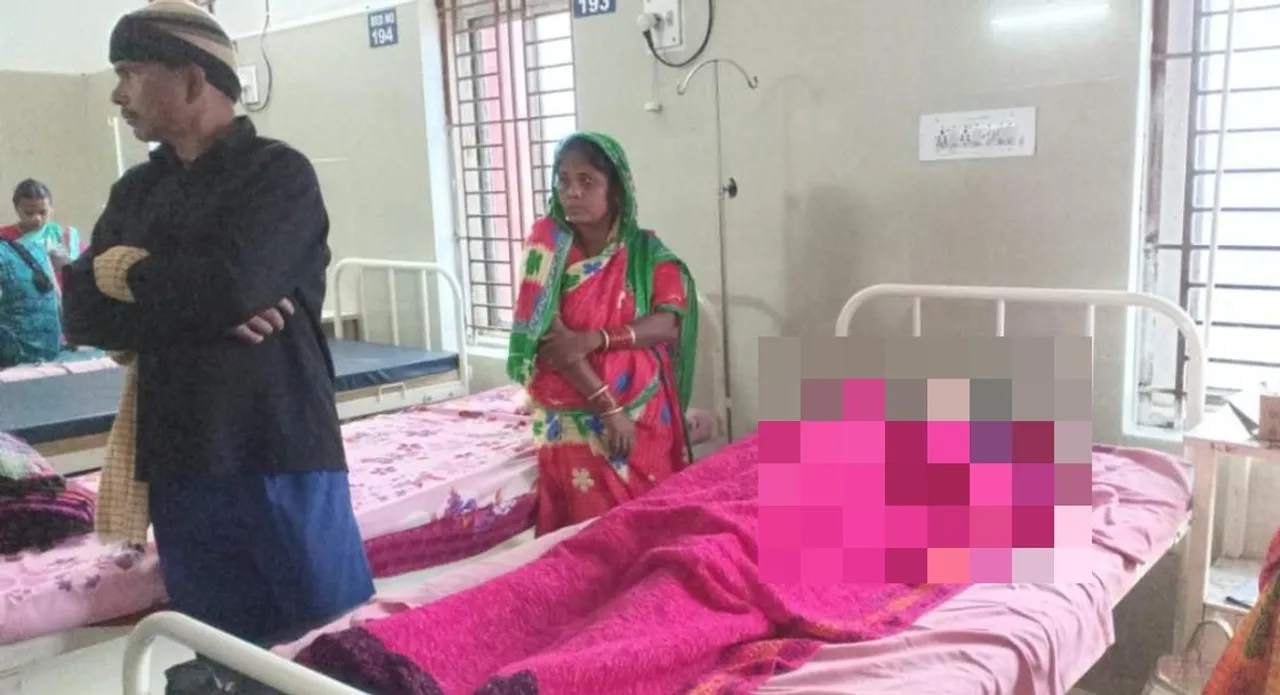  Woman critical after being attacked by elephant in Odisha's Dhenkanal