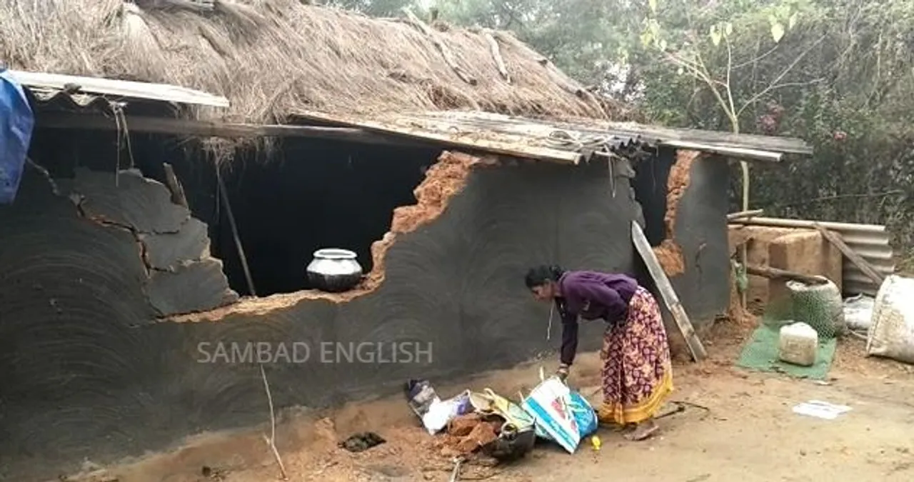  Woman killed, husband critical in elephant attack in Odisha's Dhenkanal