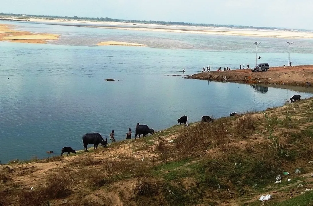  Man found dead at river bank in Odisha's Cuttack