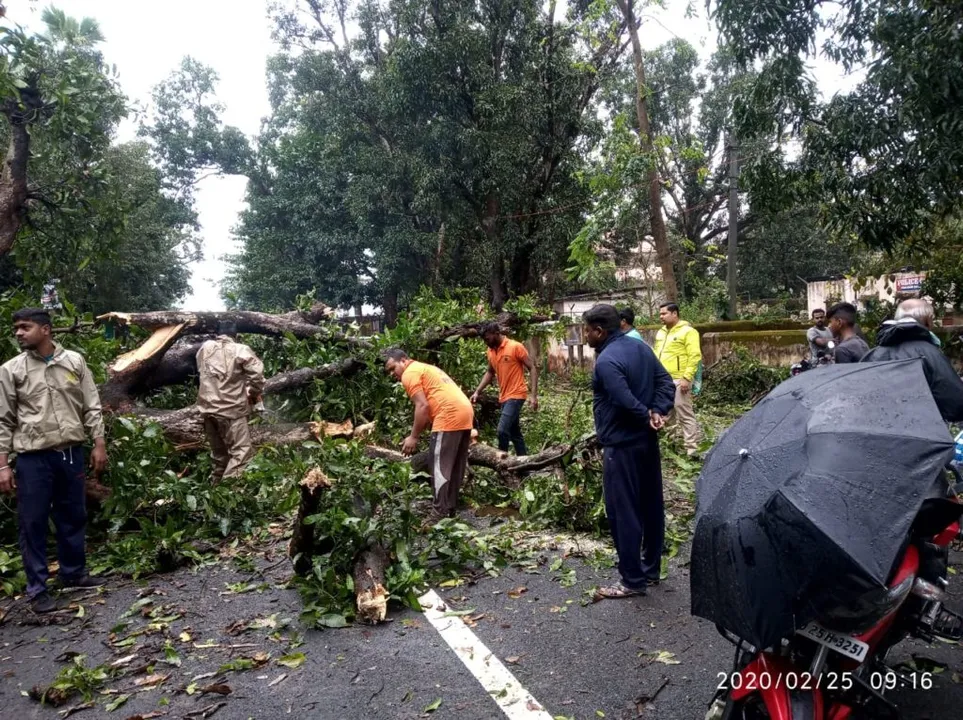  Odisha's Balangir, Phulbani Face Brunt of Unseasonal Thunderstorm
