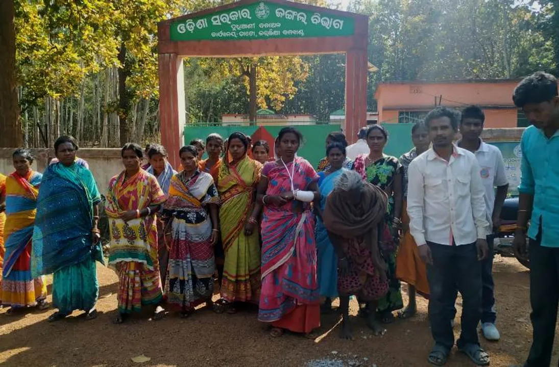  Forest Guard thrashes pregnant woman in Odisha's Mayurbhanj
