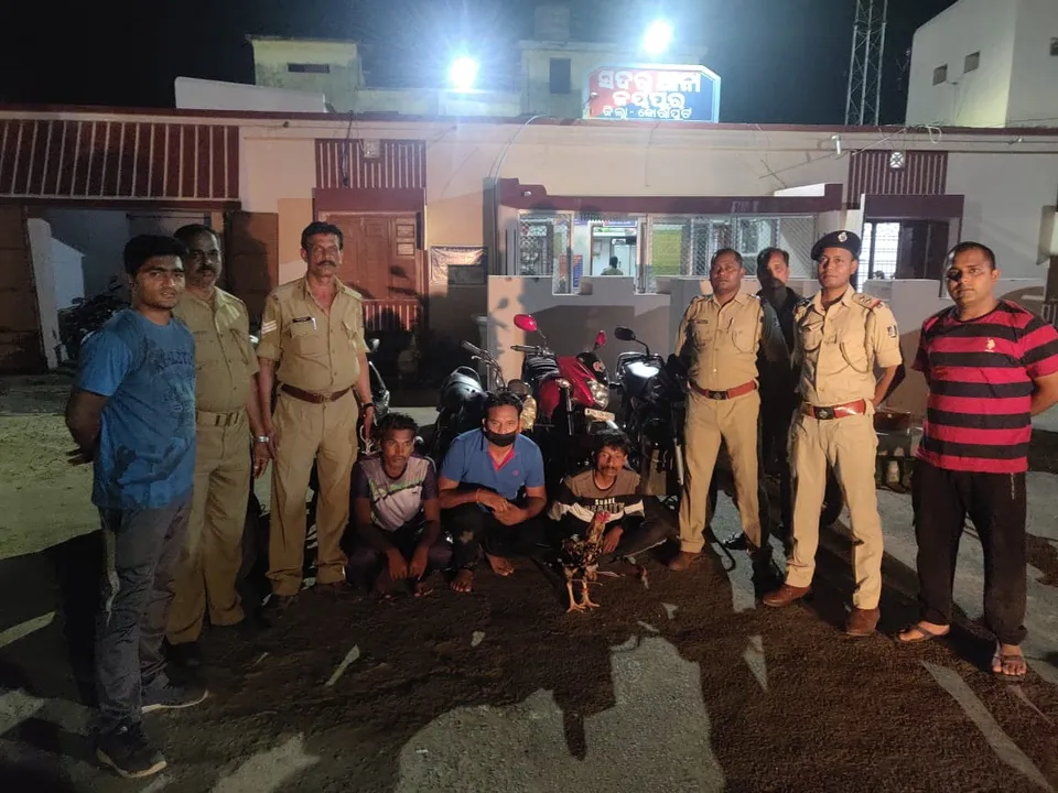  Cockfighting den busted in Odisha’s Koraput, 3 held