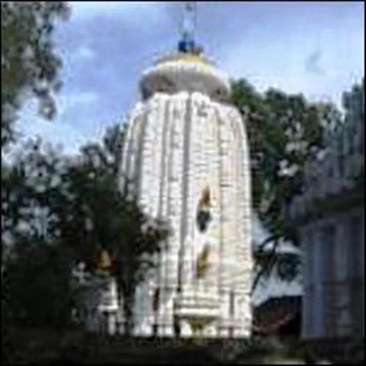  Representative picture  