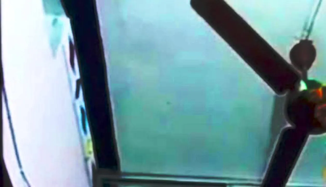  Odisha boy dies while enacting suicide act for TikTok video