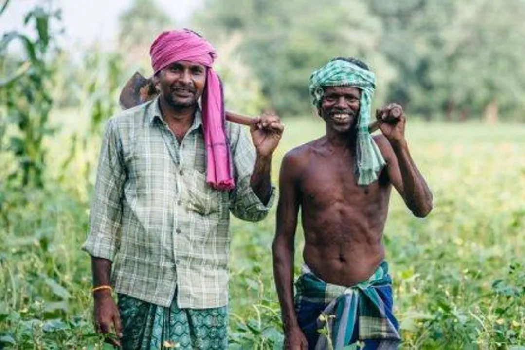  Centre hikes Minimum Support Price for 14 Kharif crops