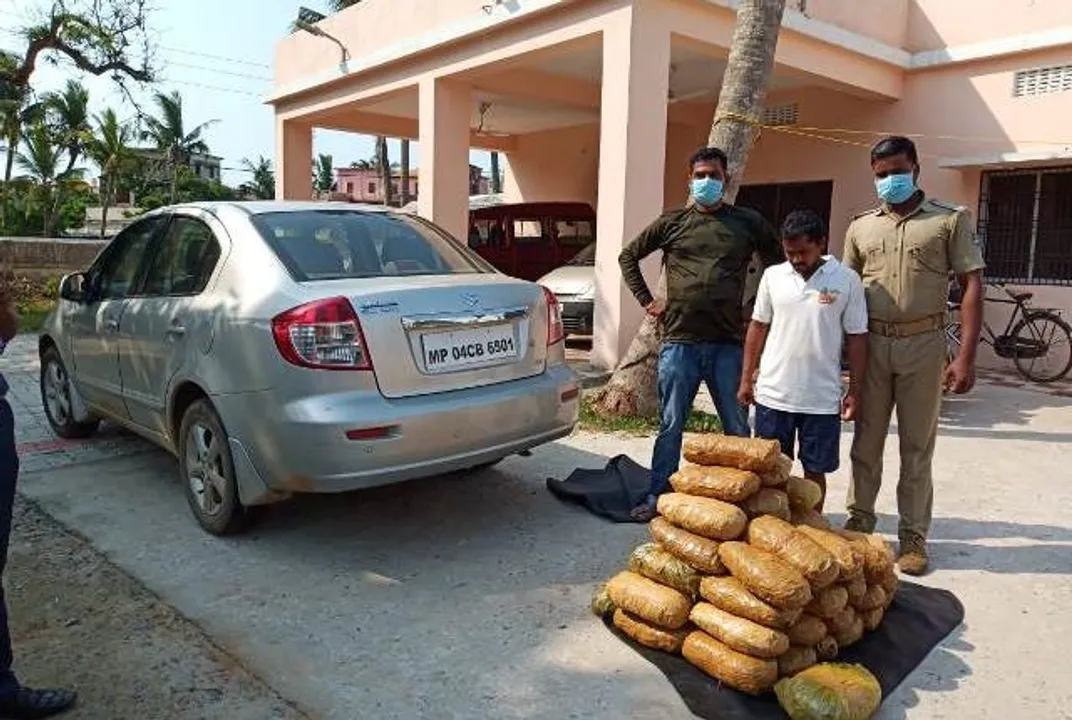  44 kg cannabis seized; one arrested in Odisha's Puri