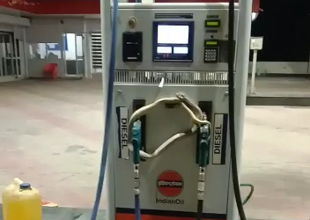  [Watch] Cobra coils up fuel dispenser in Odisha during lockdown