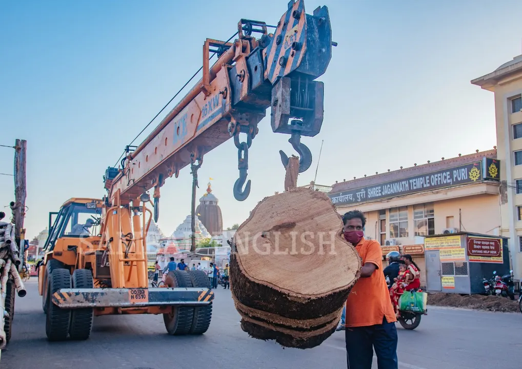  In Pics: Chariot construction work for Ratha Jatra in Puri gains momentum