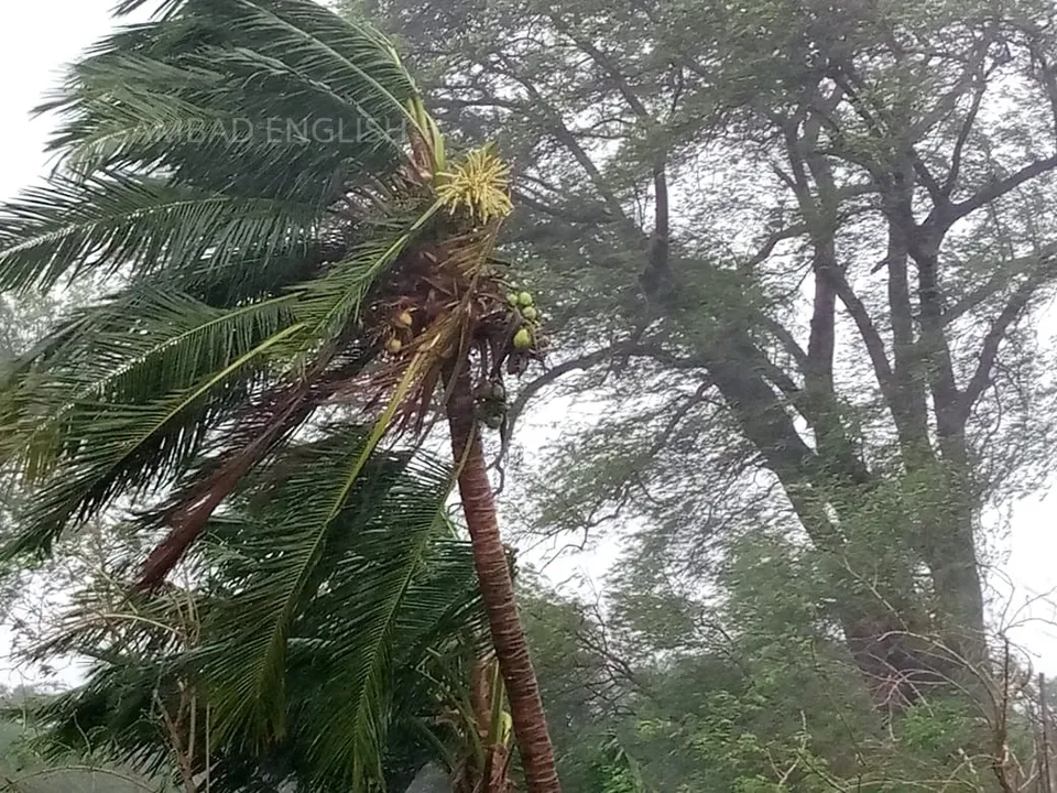  Here's all you need to know about Cyclone Nisarga and its likely impact
