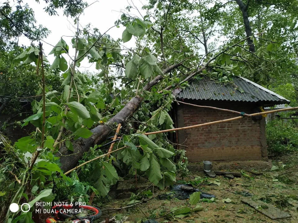  Amphan hits 45 lakh in Odisha; Patnaik seeks house damage report in 7 days