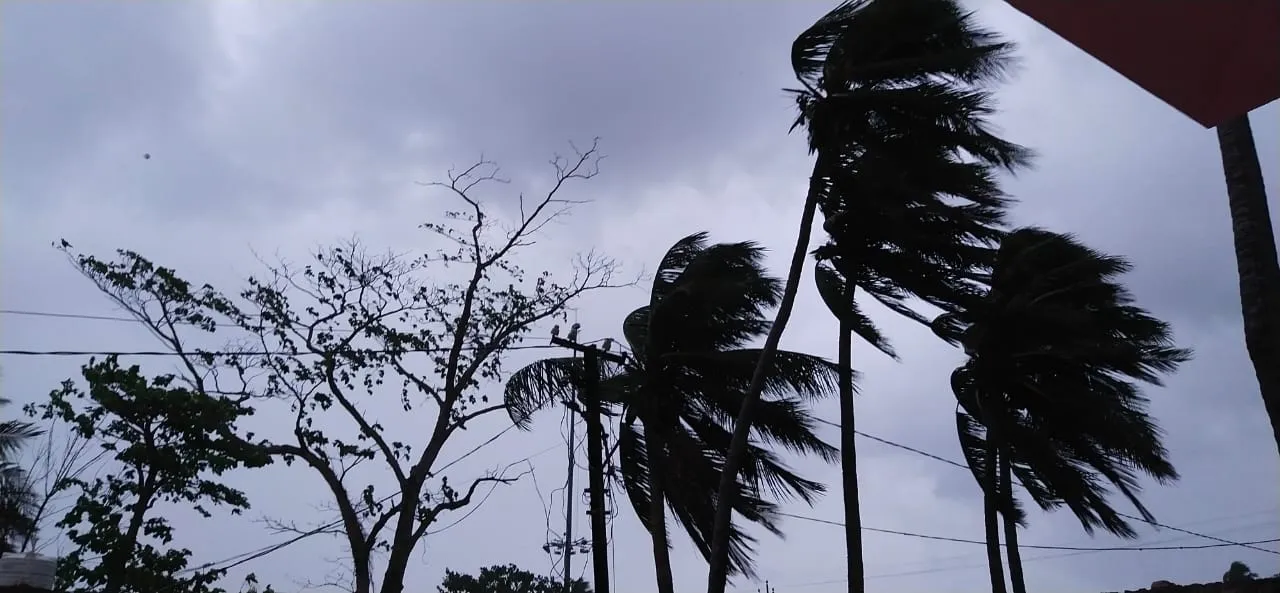  Odisha: Cyclone formation on May 13? Here's what models indicate