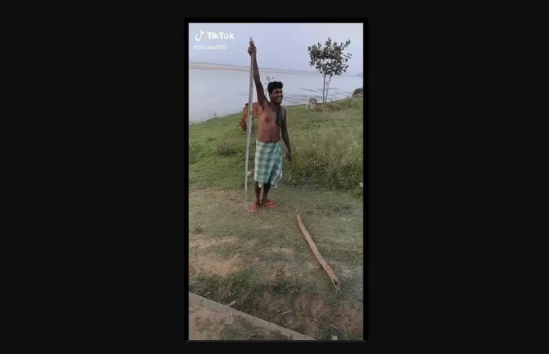  TikTok video: Snakes thrashed to death in Odisha, plaint filed