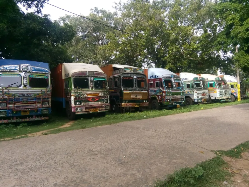  88 cattle being smuggled to WB rescued in Odisha; 2 arrested