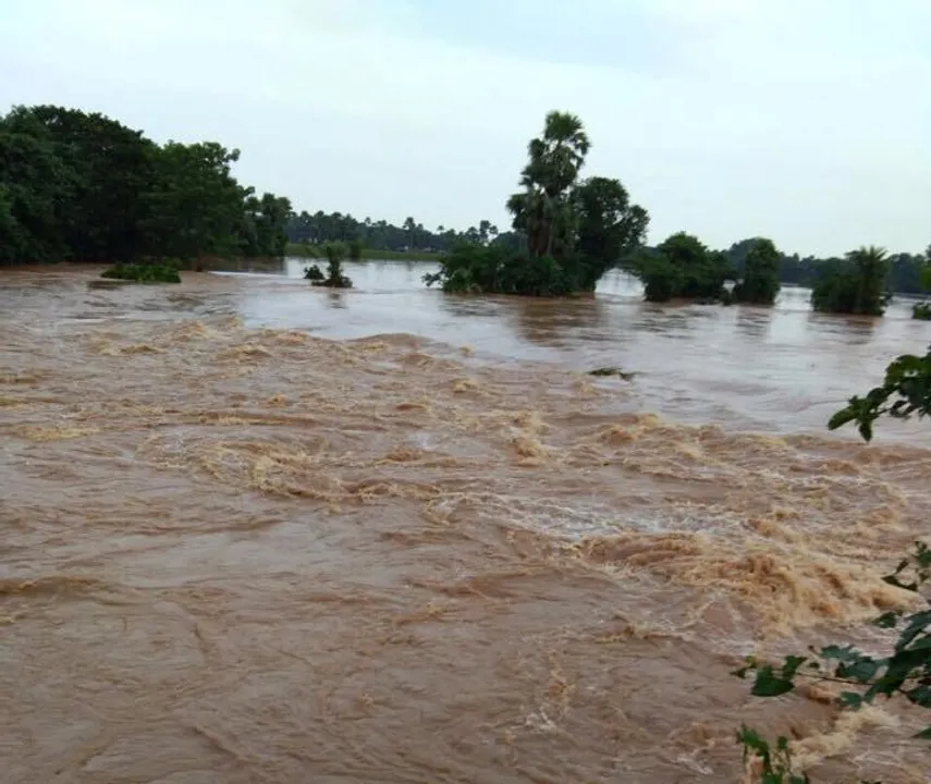  Odisha identifies 49 vulnerable points in river embankments