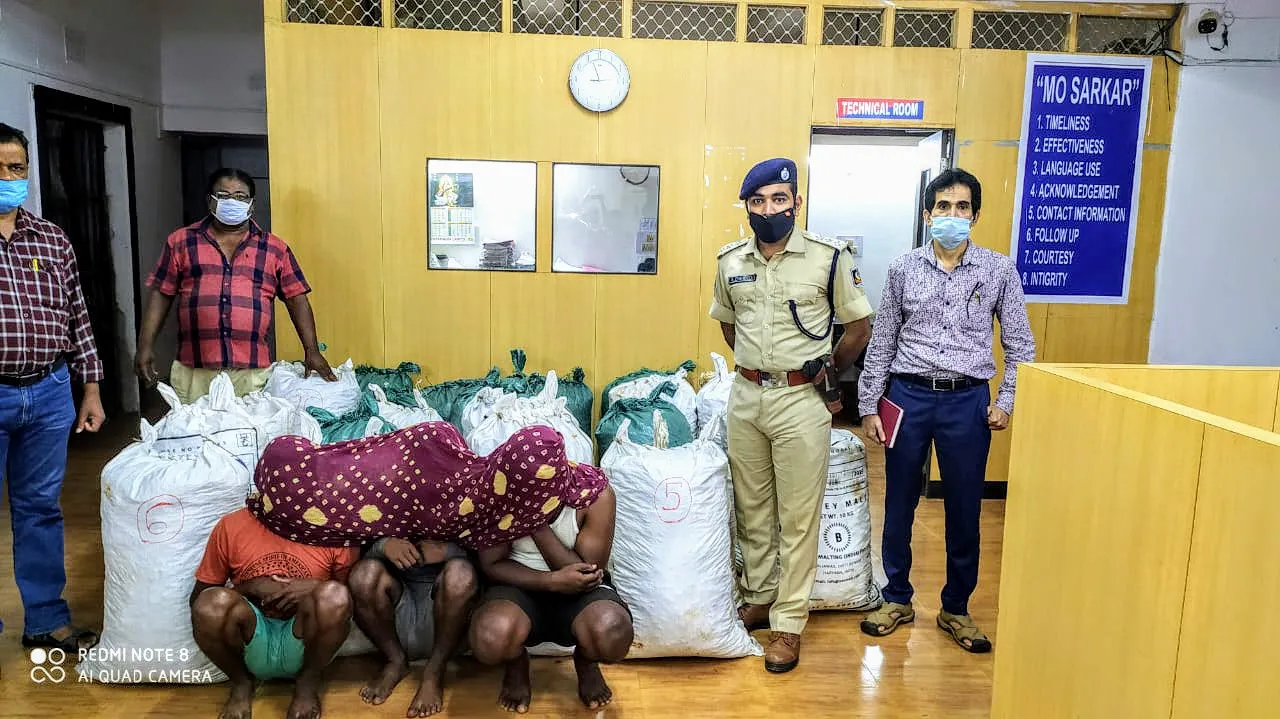  1000 kg ganja seized in Odisha's Koraput, 3 held