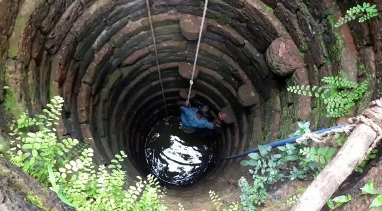  Pangolin rescued from well in Odisha's Cuttack