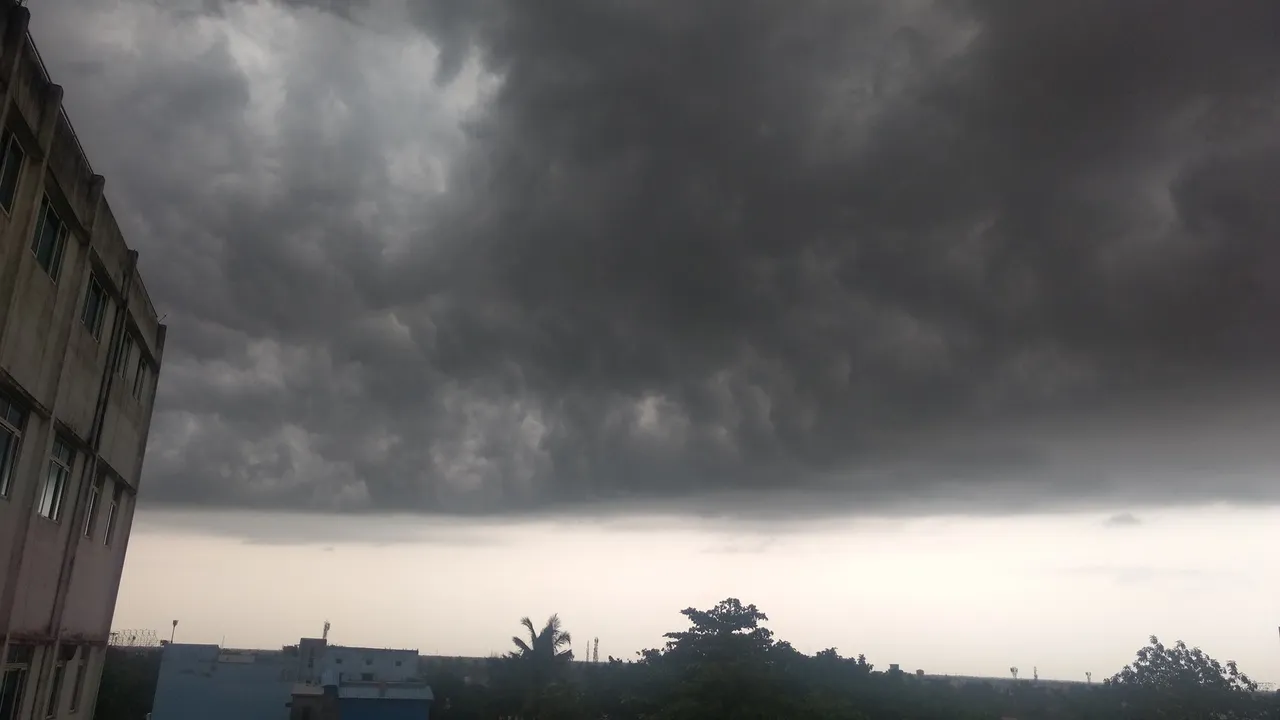  Weather update: Rain, lightning, gusty winds to lash 7 Odisha districts today