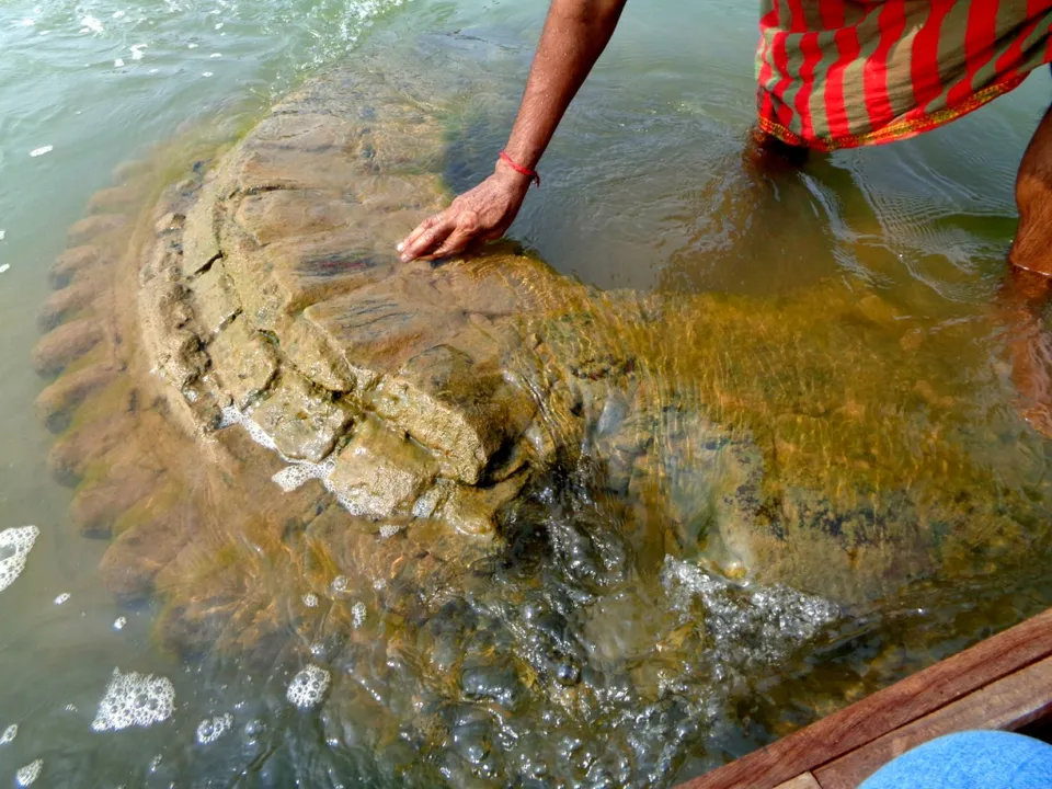  Submerged shrine found in Mahanadi