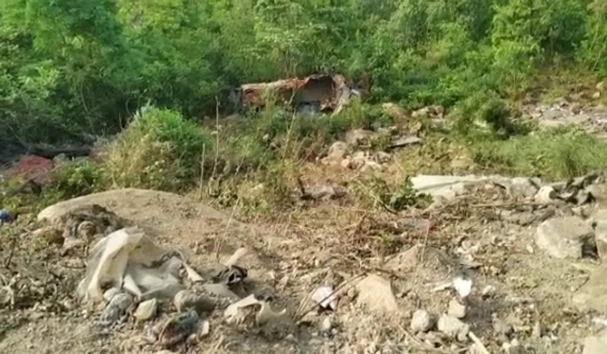  Truck falls into 80-ft-deep gorge in Odisha’s Mayurbhanj; driver dead