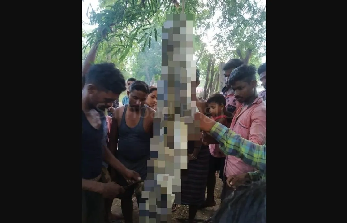  Bizarre! Odisha villagers kill crocodile, distribute meat for cooking