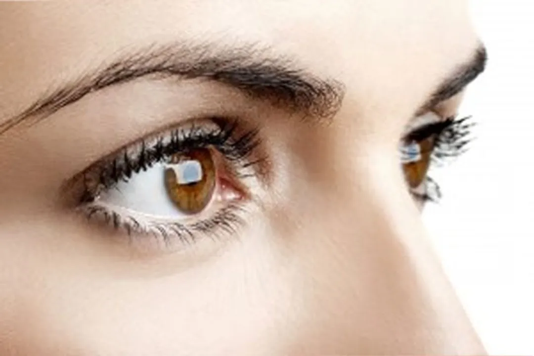  Pic Courtesy: discoveryeye.org 