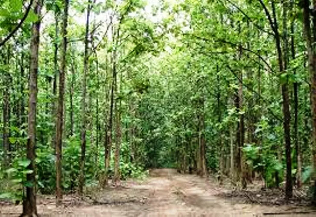  Odisha effects major reshuffle in forest administration