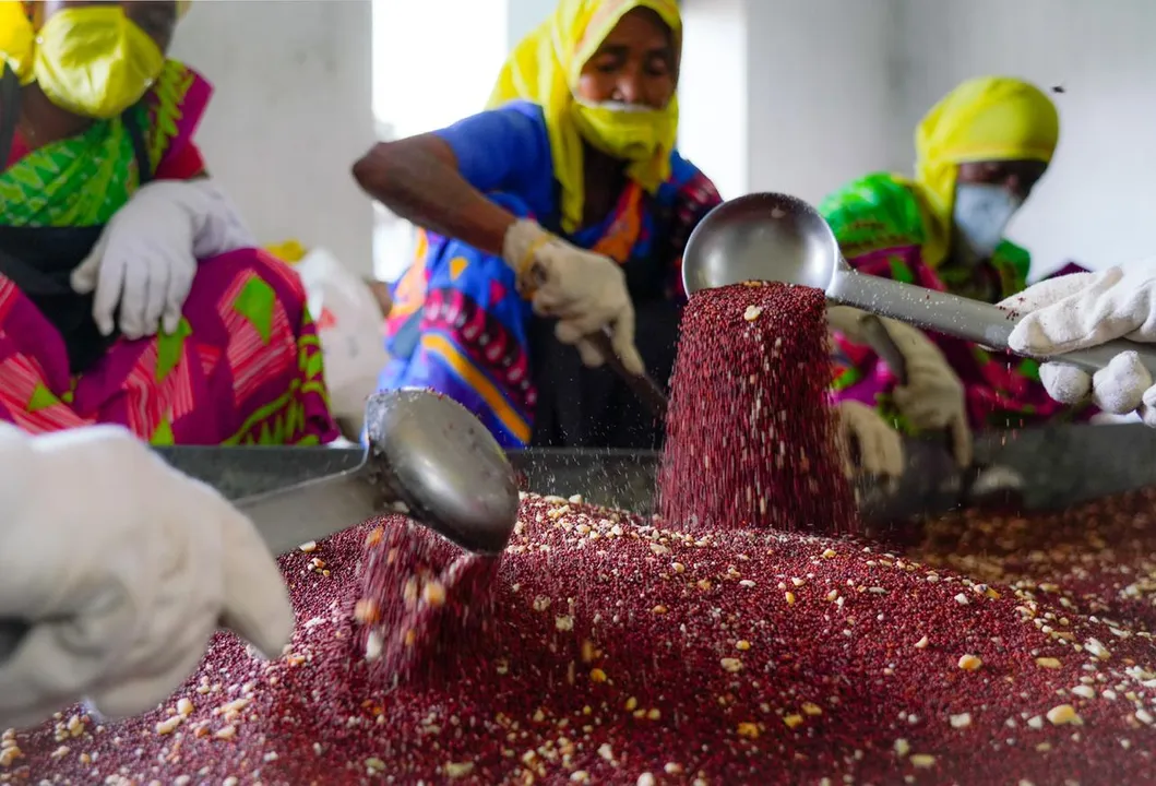  Ragi laddu introduced for pre-school children under ICDS in Odisha's Keonjhar