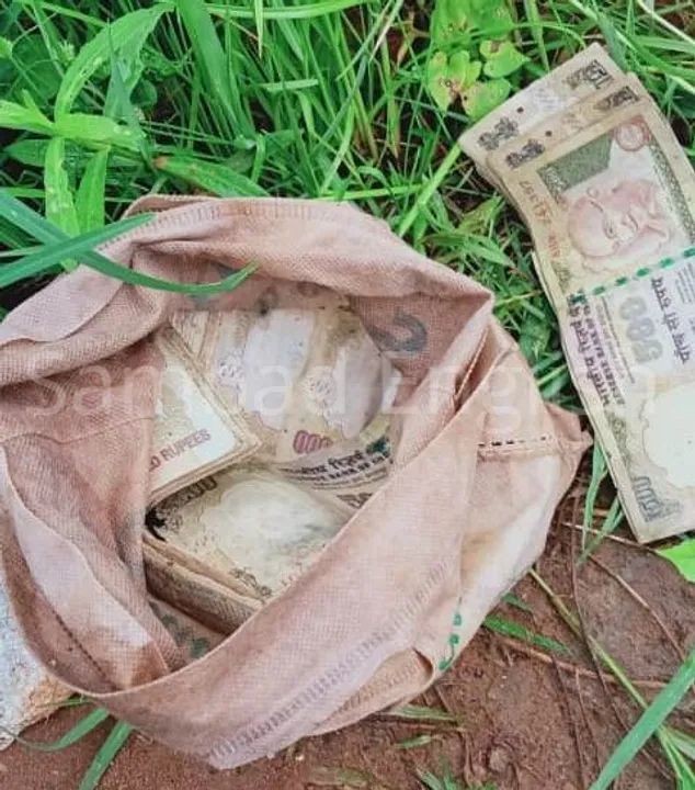  Fisherman nets Rs 30 lakh demonetized notes in Odisha