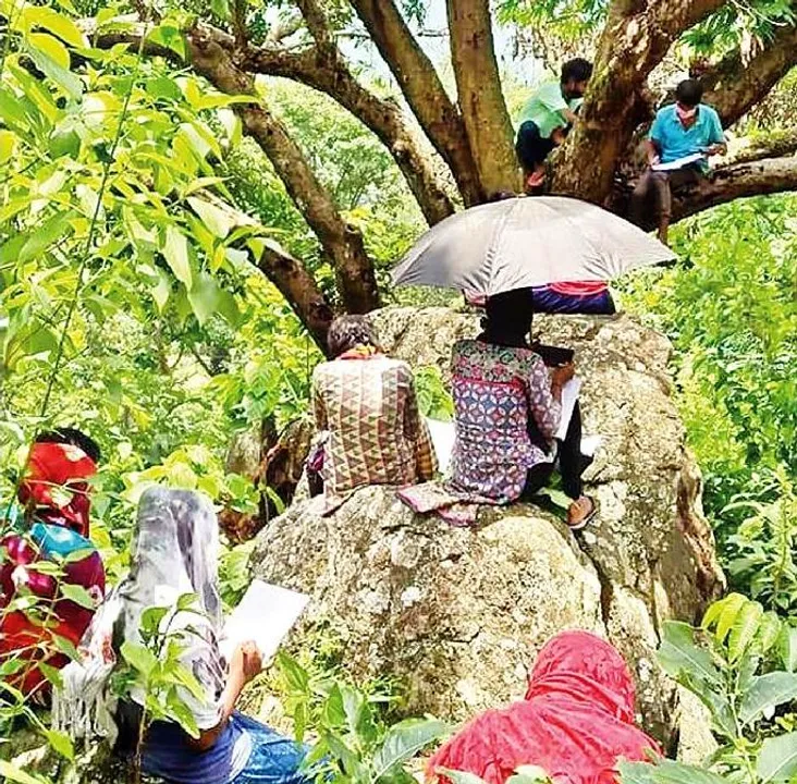  (File pic) Students perching themselves on tree branches on Bhubaneswar outskirts to attend online classes. 