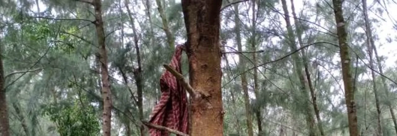  Man found hanging in forest in Odisha's Bhadrak, wife alleges murder