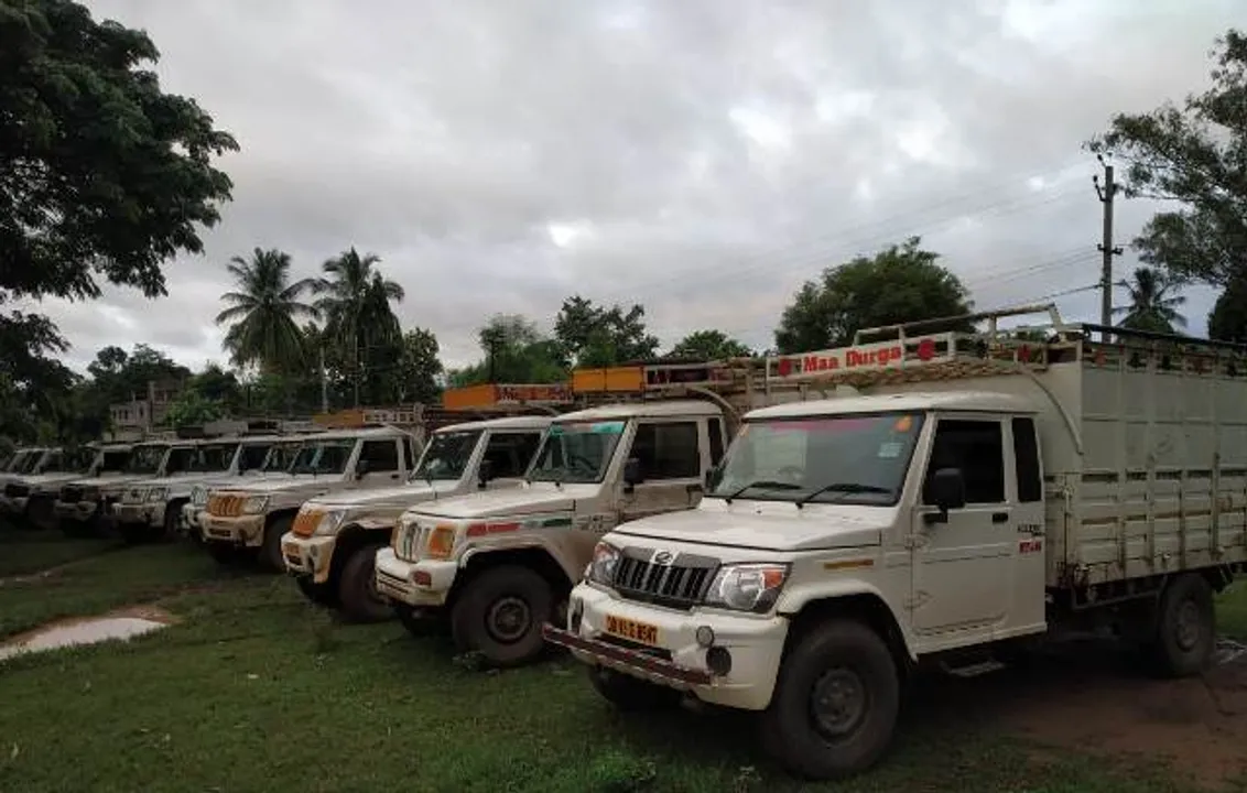  46 buffaloes rescued in Odisha's Rayagada, 16 held