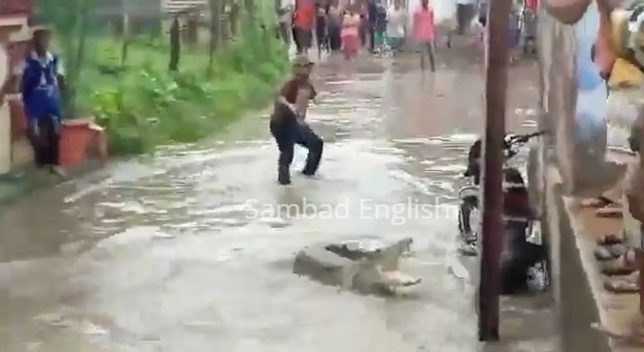  Fact check: Crocodile strays into Odisha village amid flood