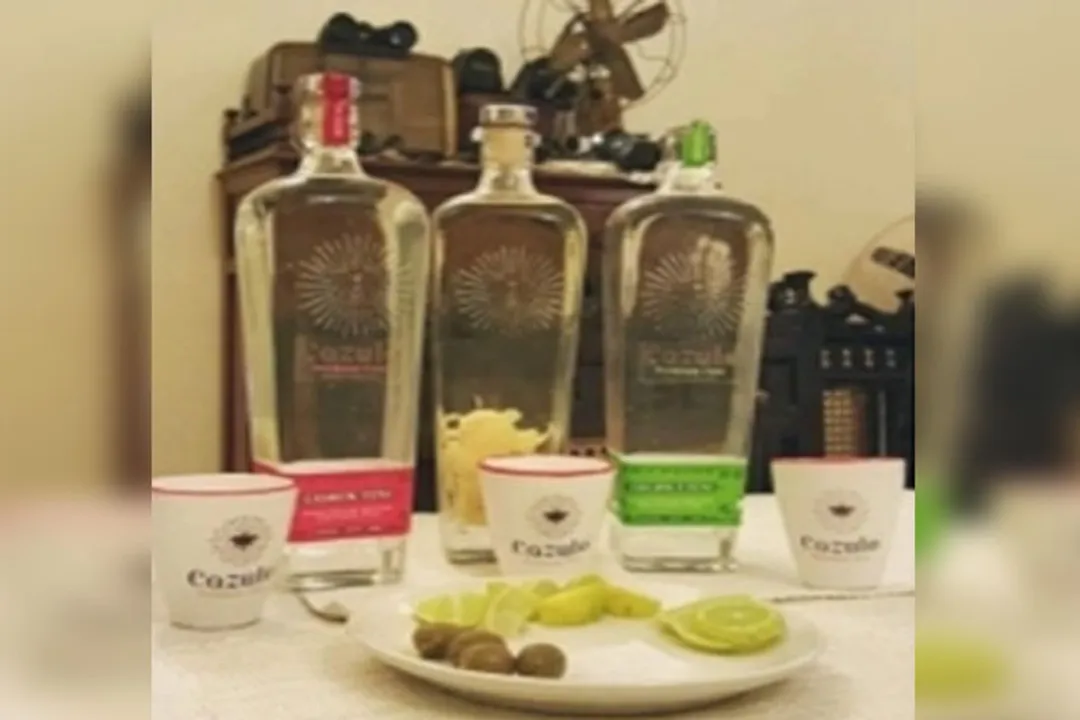  'Nasha Mukta Bharat' campaign makes Goa feni industry anxious
