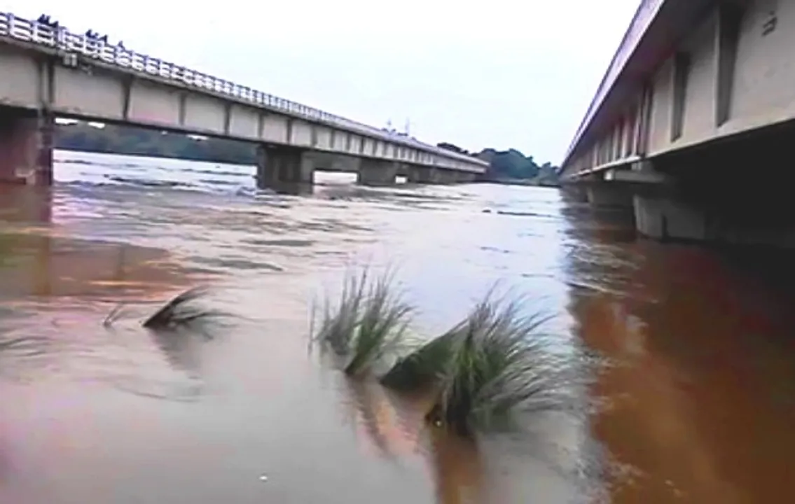  No flood threat to Odisha despite incessant rain: Water Resources Dept