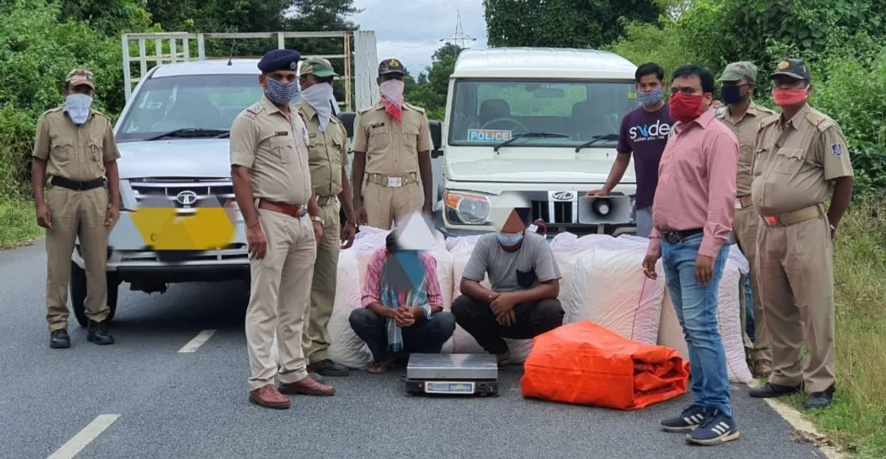  Ganja worth Rs 30 lakh seized in Odisha, 2 held