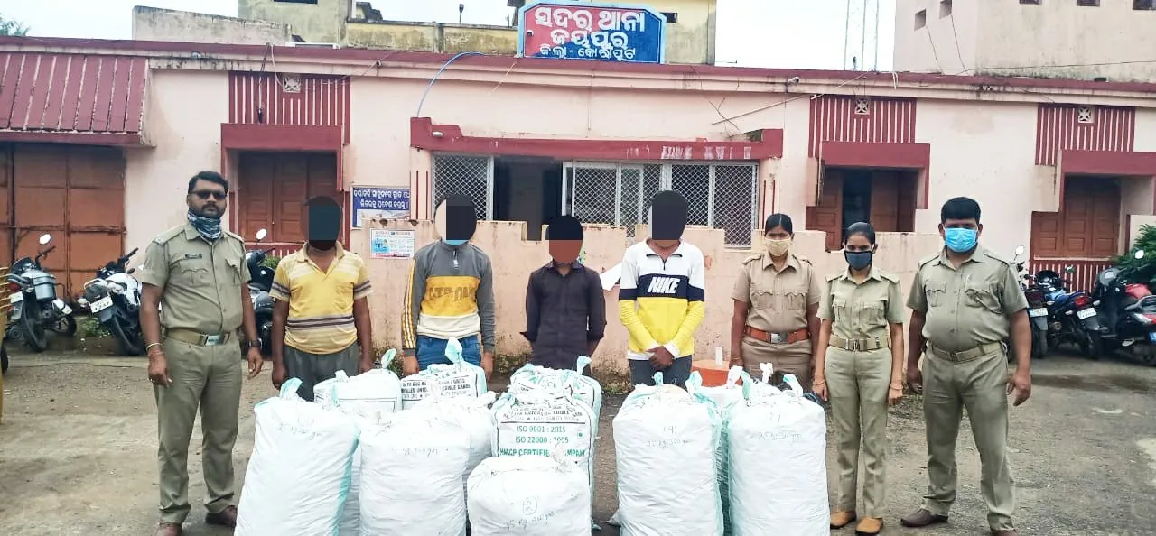  Ganja worth Rs 35 lakh seized in Odisha's Koraput, 4 held