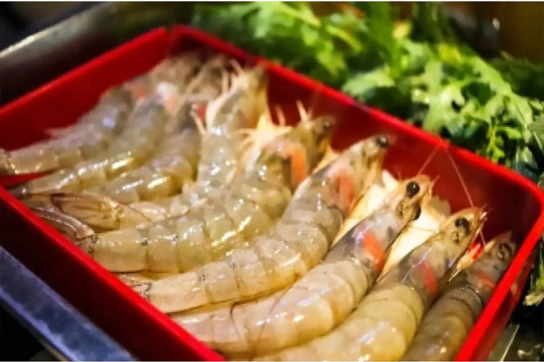  Kerala shrimp production suffers Rs 308 cr loss due to COVID