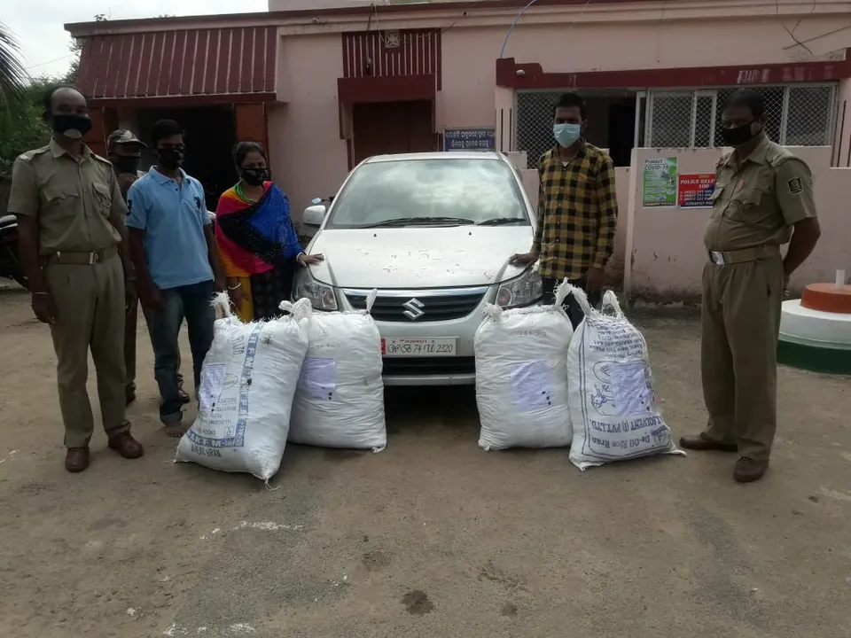  Ganja worth over Rs 5 lakh seized in Odisha's Koraput; woman among 3 arrested