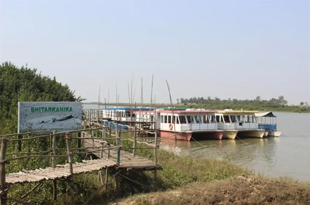  Odisha's Bhitarkanika National Park to reopen for tourists from Oct 1