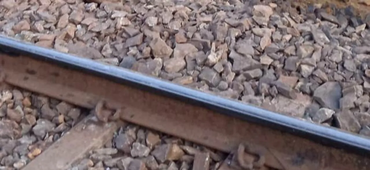  Hit by train, elephant dies in Odisha's Sundargarh