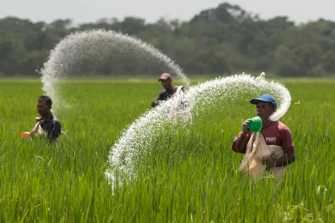  Image credit: fertilizer-machine.com 