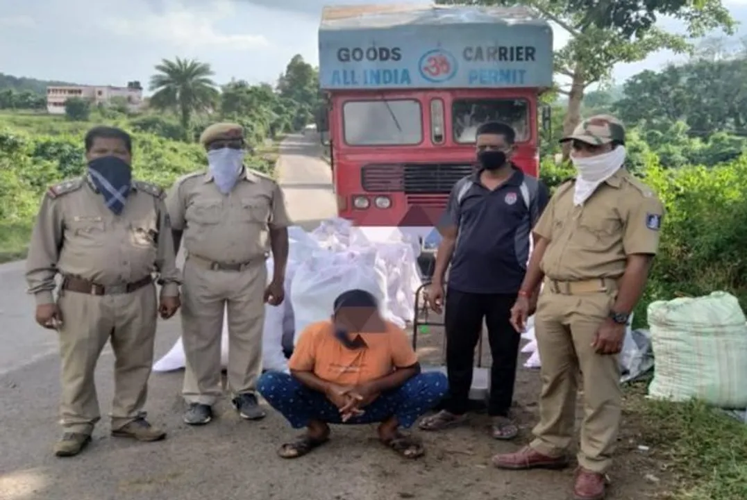  Over 1000 kg ganja seized in Odisha's Gajapati