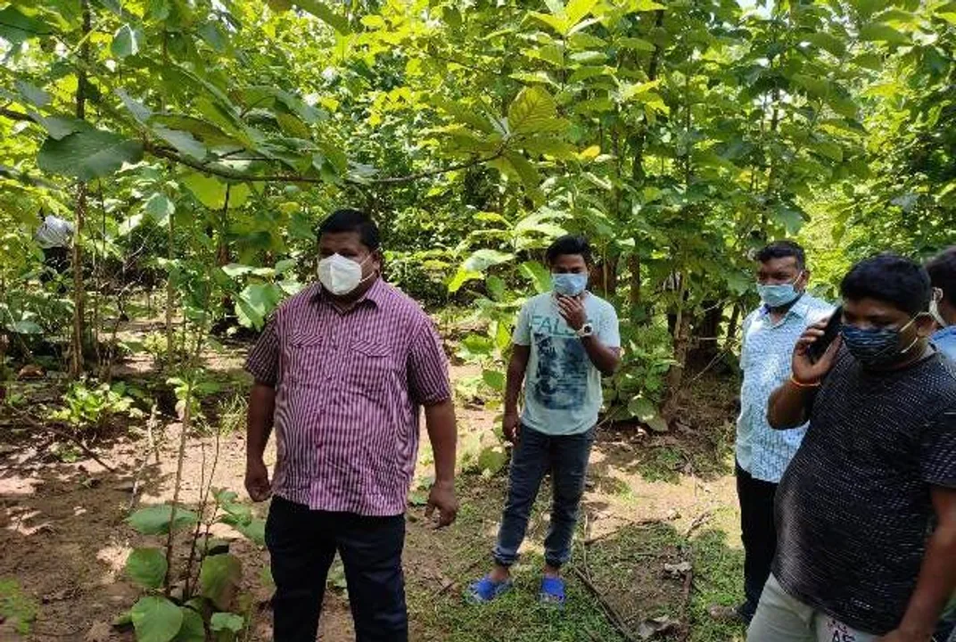  Decomposed body found hanging in Odisha forest
