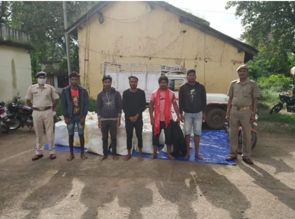  1,000 kg ganja seized in Odisha’s Koraput, five held