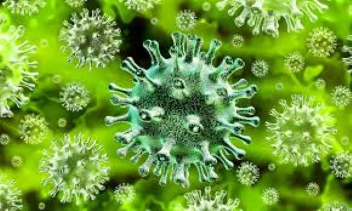  Covid virus mutation may have made it more contagious, finds study