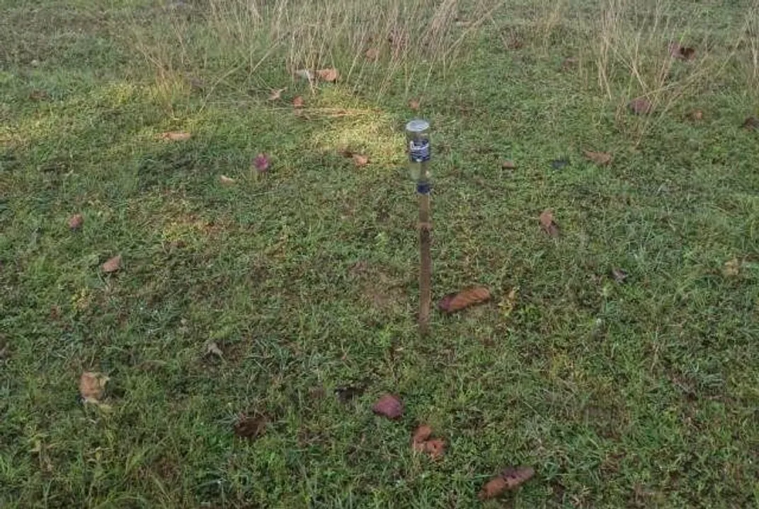  Odisha: Man comes in contact with electric wire laid to trap boar, dies