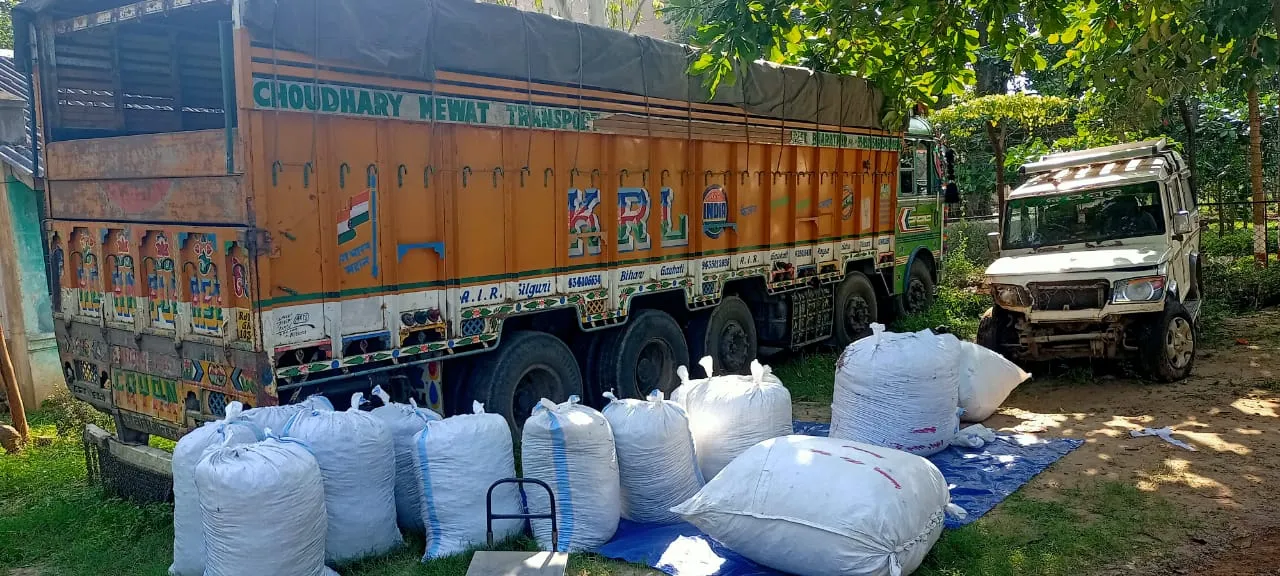  572 kg ganja seized in Odisha's Rayagada, smugglers flee