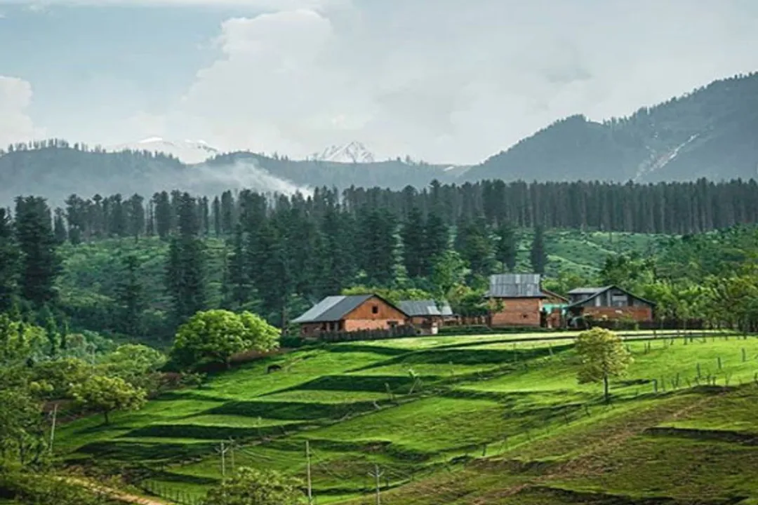  Pic Courtesy: Instagram 